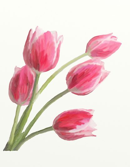 Pink Tulips