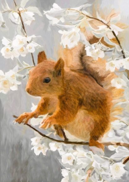 Squirrel Blossom